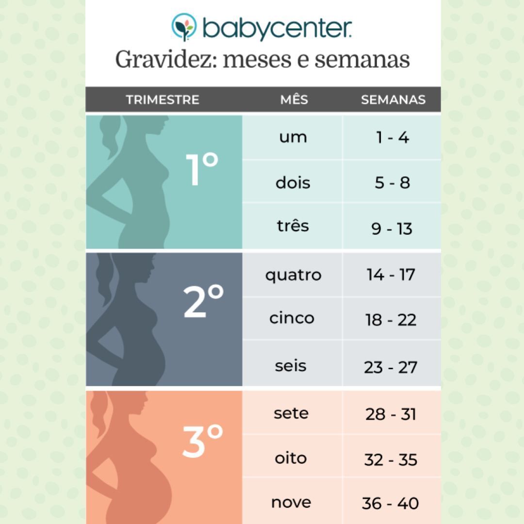 Gestação Babycenter Bebe Meses 23 Semanas De Gravidez Blog Da CordVida