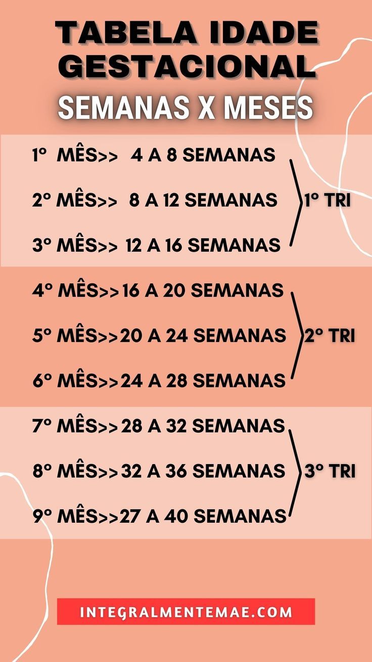 32 Semanas Sao Quantos Meses: Tudo O Que Você Precisa Saber – ITLBX