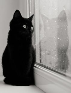 xxx de sophie rain | Topic