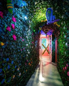 curious carly try on Topic