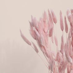 demi rose erome | Topic